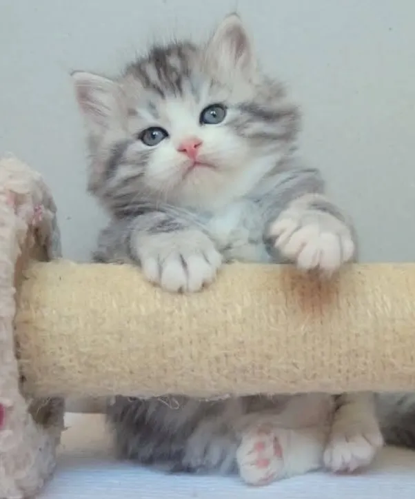 Vue secondaire de Sunny (1)