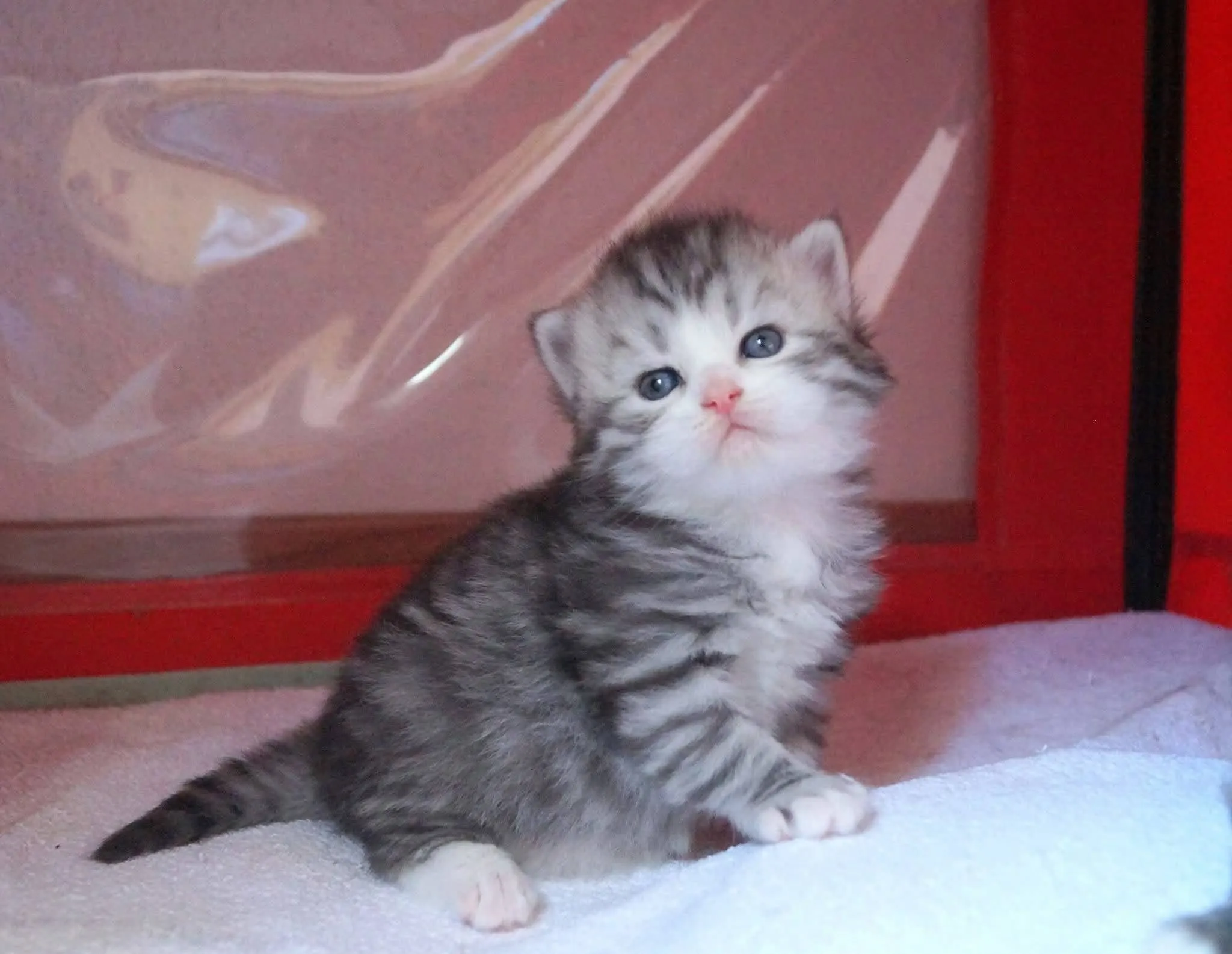 Photographie de Sunny (3)