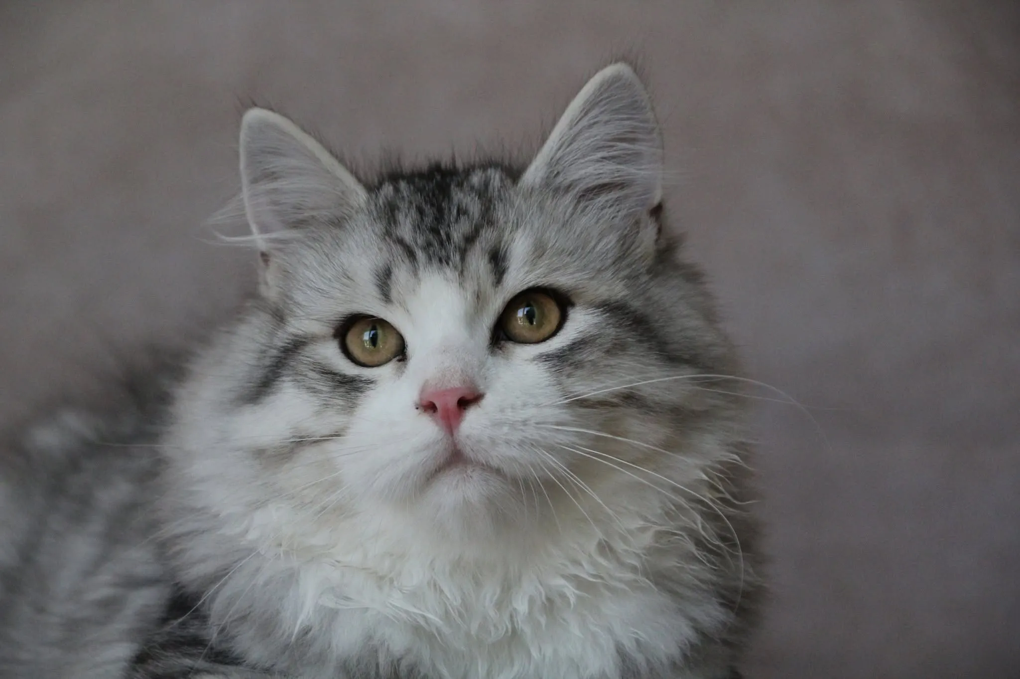 Photographie de Sunny (8)
